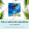Why we add NO bee ingredients in our skincare | Real Earth