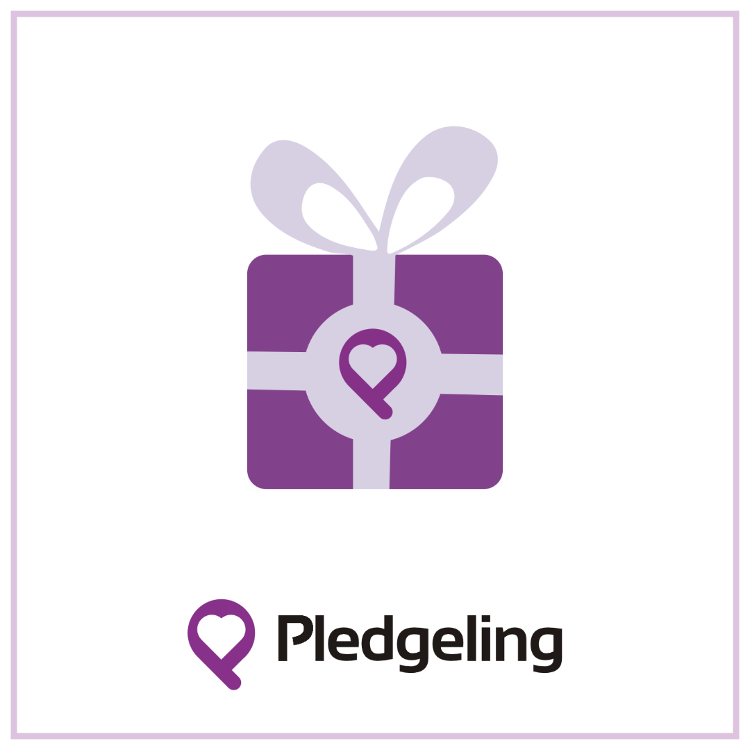 Donation to Planet Bee Foundation - Real Earth -